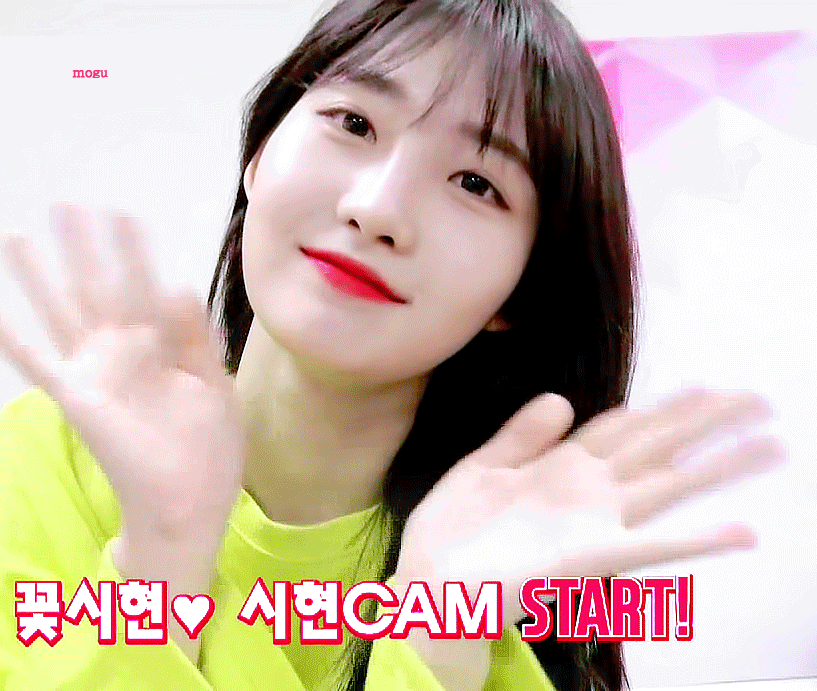 내가 좋아하는 여돌 공통점 있을까 | 인스티즈