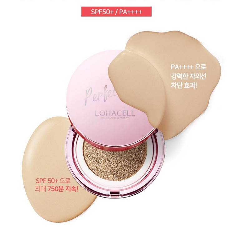 로하셀 퍼펙트 피니시 커버 쿠션 커버 업 | 인스티즈