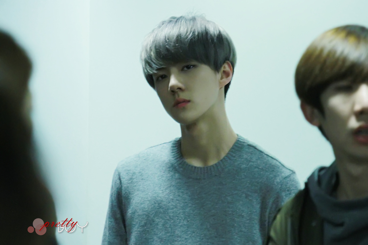 세훈이 코가 더 좋은 이유는 | 인스티즈