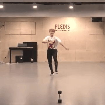 솔직히 호시 춤 좀 좋아한다 나 직캠 좀 봤다 하는사람들은 당장 이거 보고오자 양심적으로 | 인스티즈