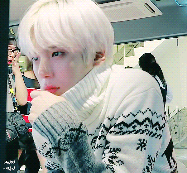 울 미녀기 보고싶다 ㅠㅠ울 말티쥬 | 인스티즈