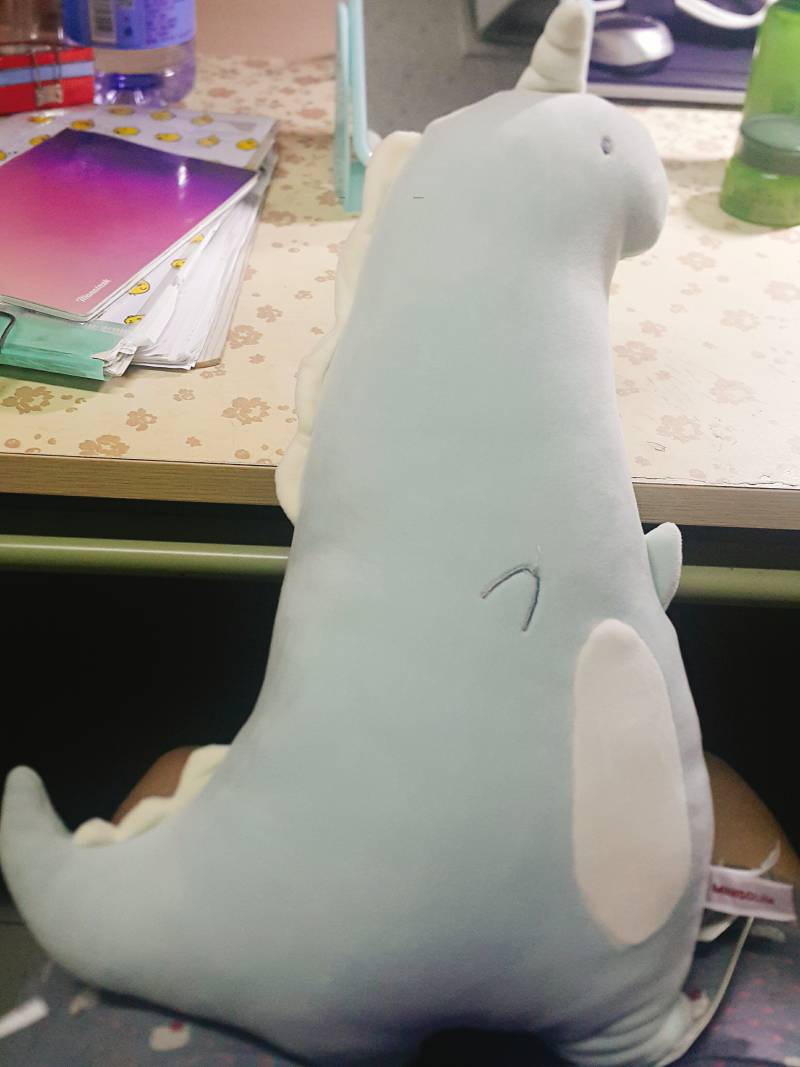 새친구 데려왔는데 멋드러진 이름 지어줄 익이니! | 인스티즈