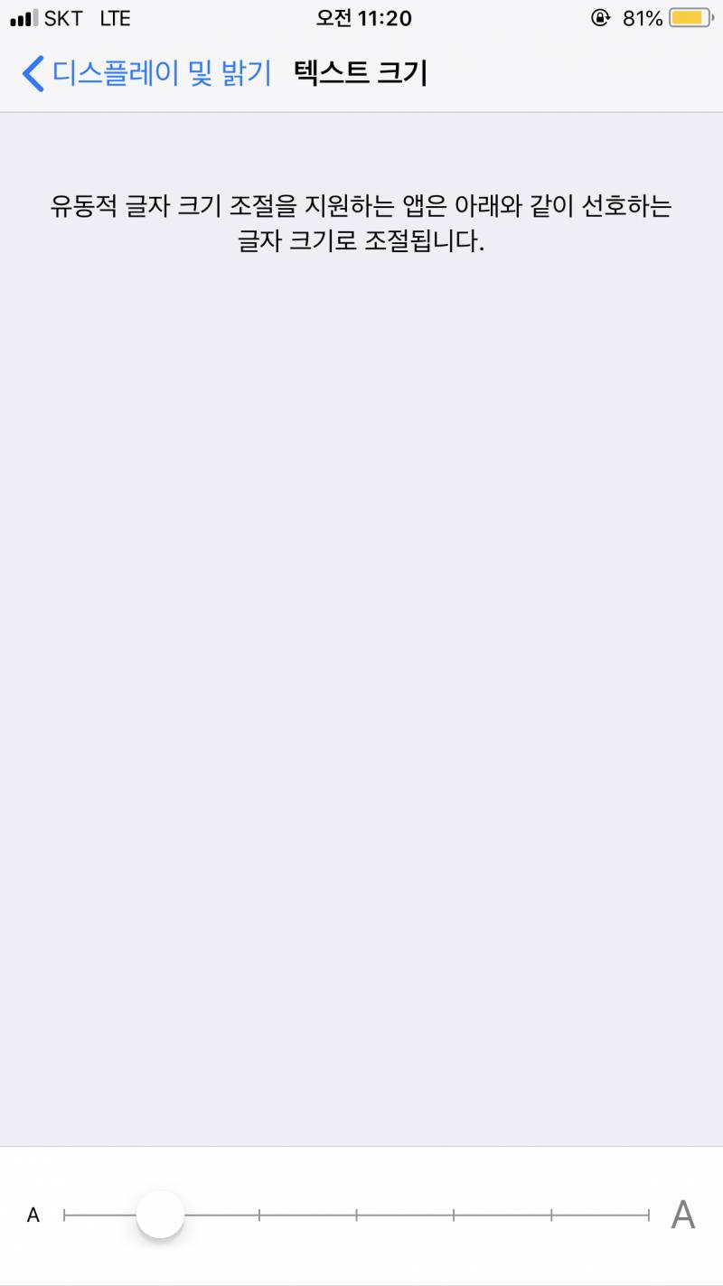 아이폰 쓰는 익들아 글씨크기 얼마로써????4040 | 인스티즈