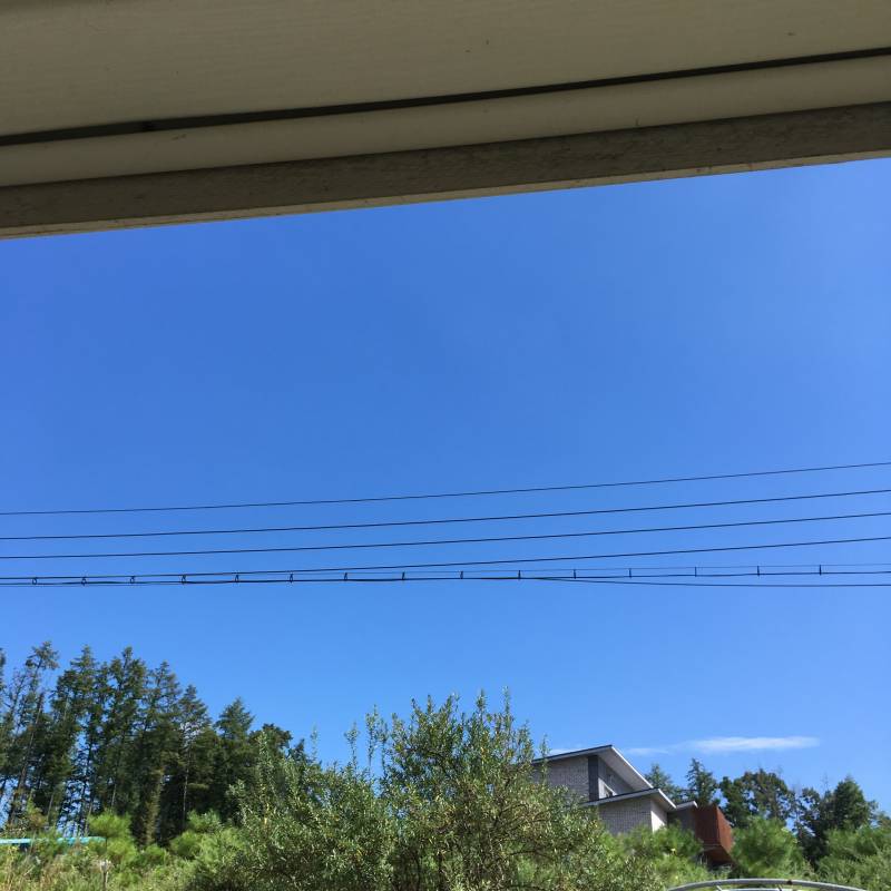 오늘 하늘 너무 예뻐! 40 | 인스티즈