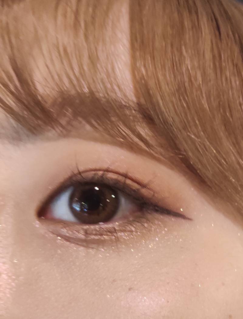 헐헐 쓰니 붉은기 없는 브라운 렌즈 사따 4040 | 인스티즈