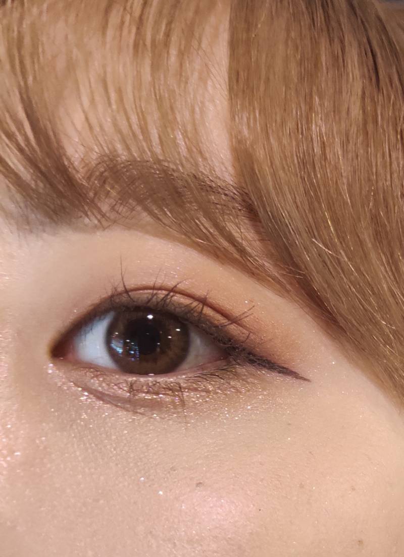 헐헐 쓰니 붉은기 없는 브라운 렌즈 사따 4040 | 인스티즈