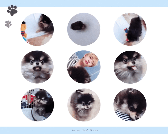 아 흐엉단 못기다리겠다 이거만 올리고 자러가야지 우리 죡규미 연탄이 해삐벓떼💜 | 인스티즈