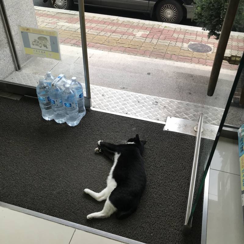 어이가 없어서 웃음이 나온ㄴ다 | 인스티즈