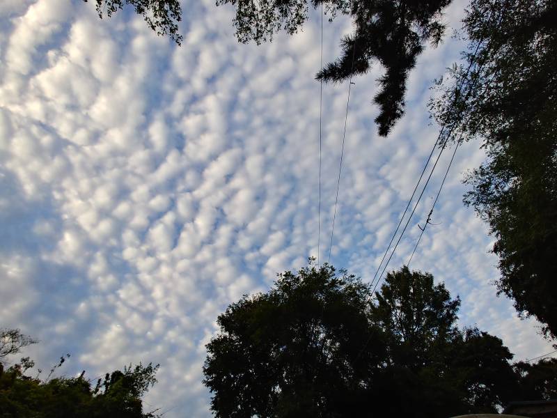 익들아 이거 나만 지진운 같아??☁☁☁ | 인스티즈