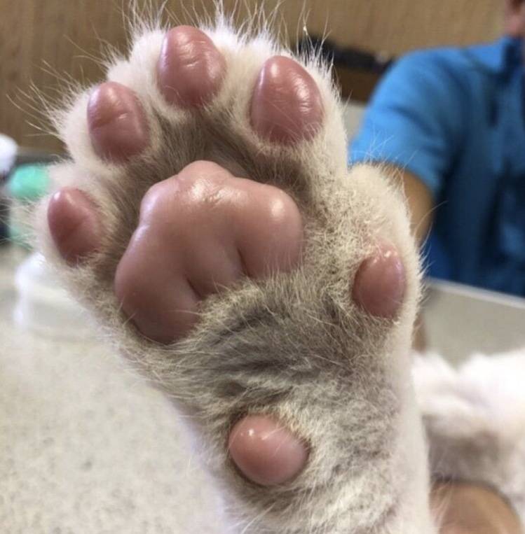 하 다들 심장 부여잡고 들어와... | 인스티즈