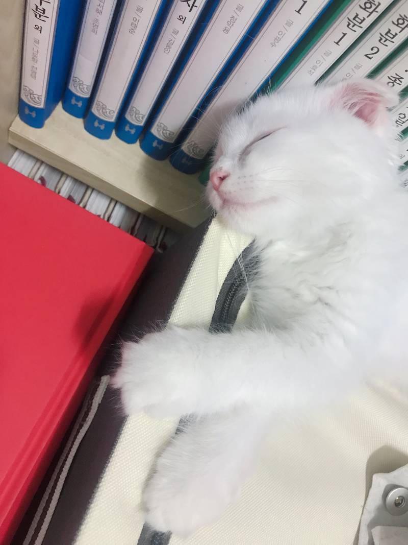 우리 애기 잔다 | 인스티즈