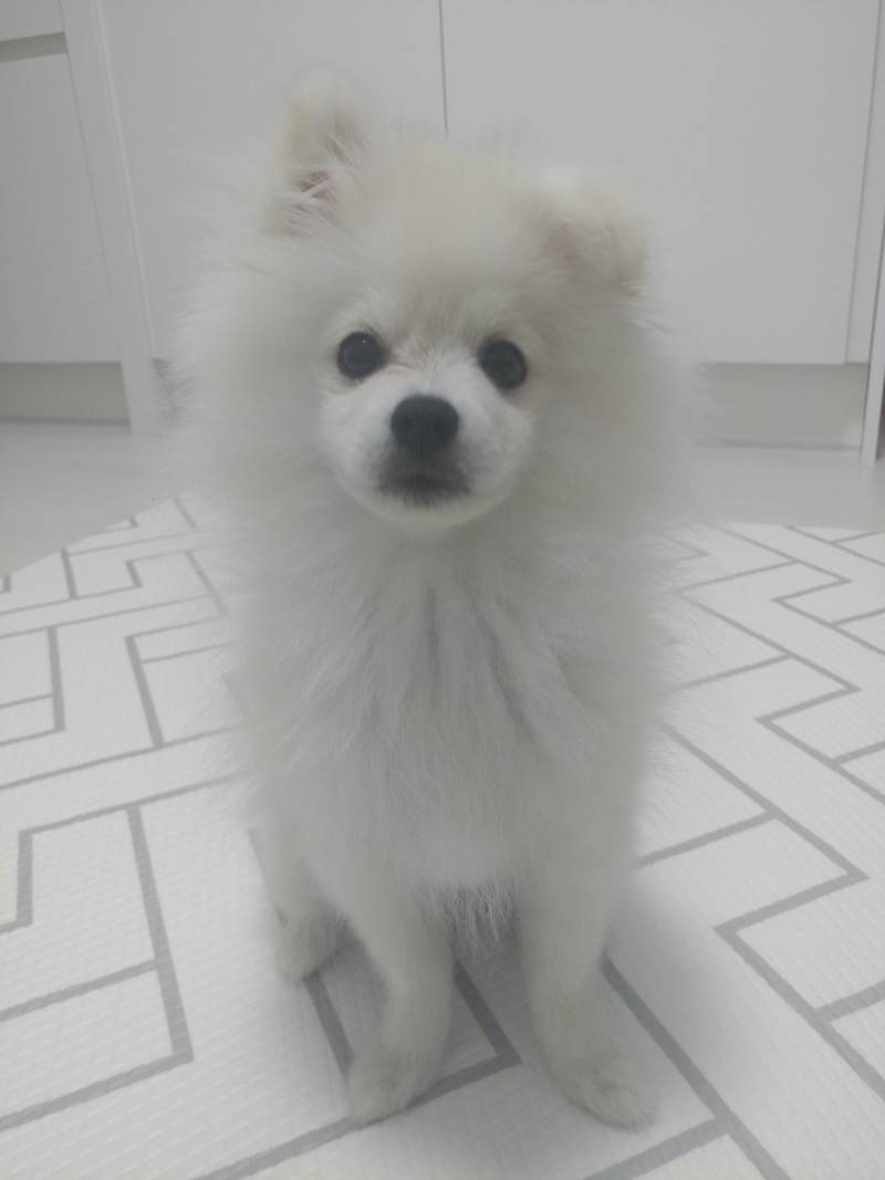 우리 막내 때문에...누나가 가슴이가 아프다 | 인스티즈