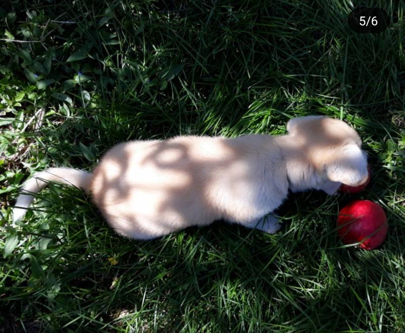 절미 보기위해 하는 데뷔 멤버 급구 | 인스티즈