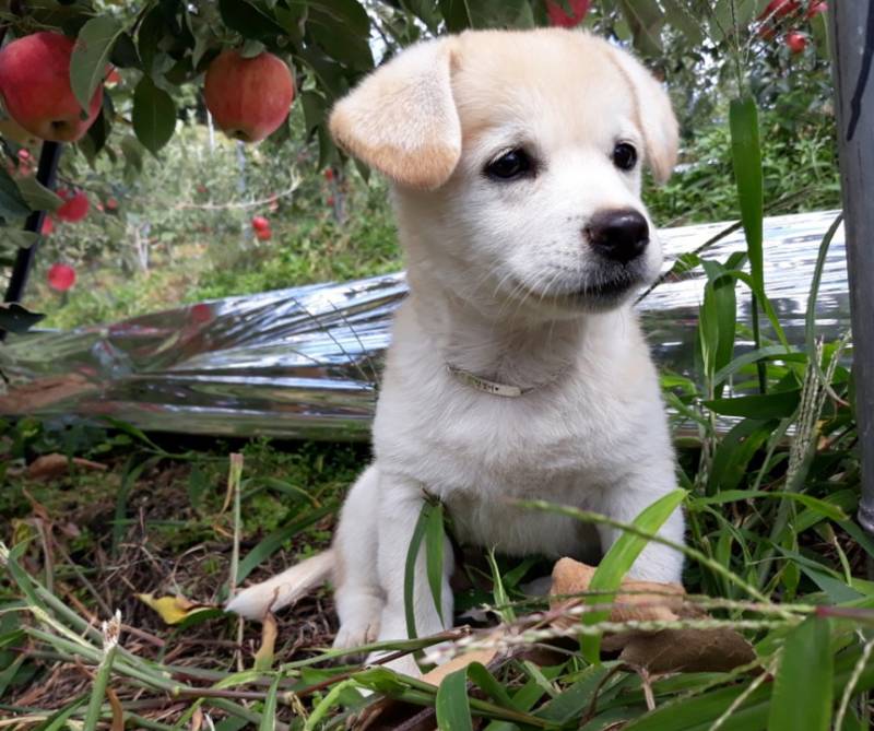 절미 보기위해 하는 데뷔 멤버 급구 | 인스티즈