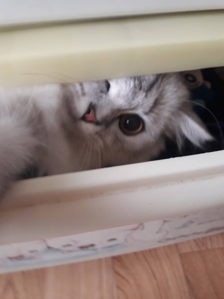 아침에 기분 좋게 출근 등교 하세요~!! | 인스티즈