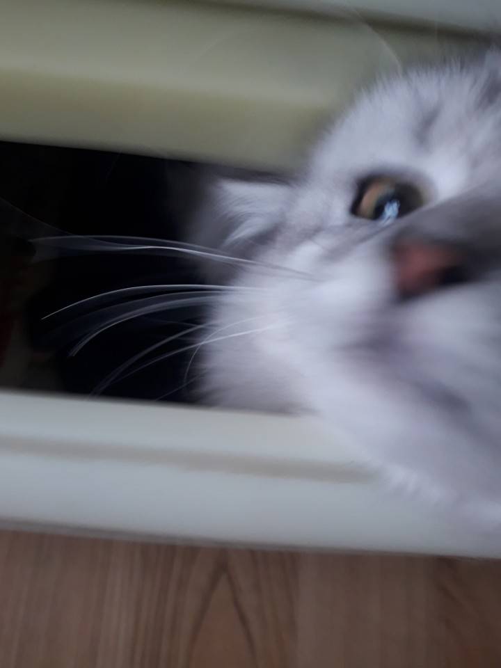 아침에 기분 좋게 출근 등교 하세요~!! | 인스티즈