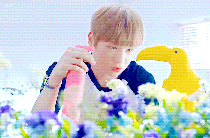 자기가 귀여운걸 부정하는 세상에서 제일 귀여운 강다니엘을 귀여워하는 나.. | 인스티즈