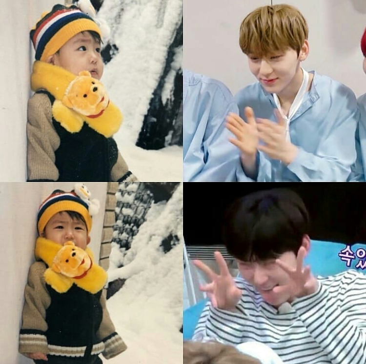 ㄱ 옹년옹이 진짜 맛있는 이유 두 짤로 끝낸다 | 인스티즈