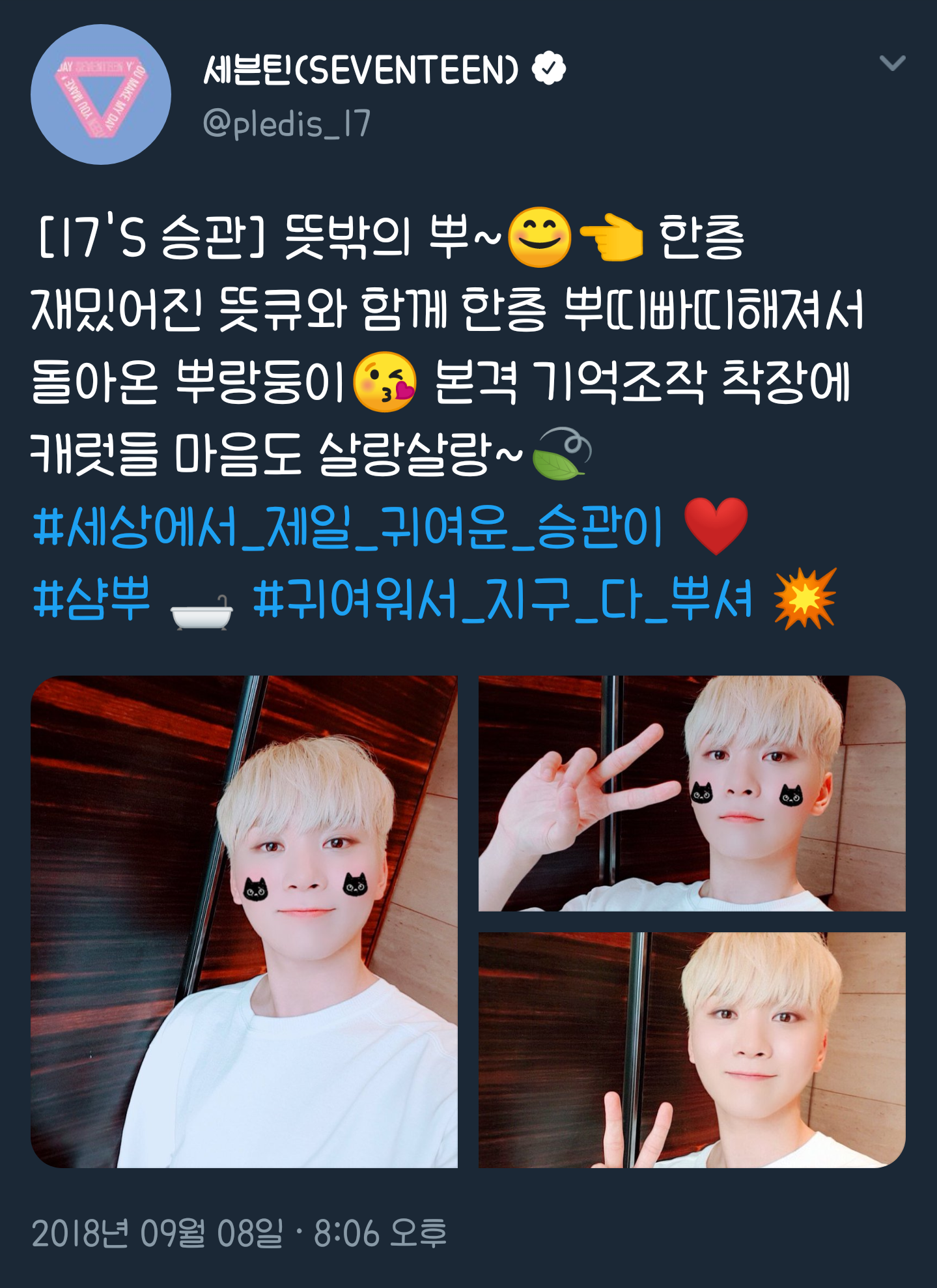 세븐틴 공계 주접 못따라간다... | 인스티즈