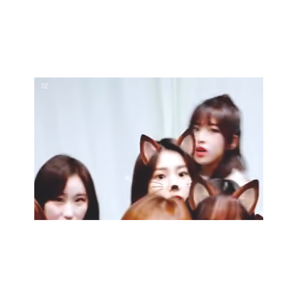 방금 뭐가 지나갔는데 | 인스티즈