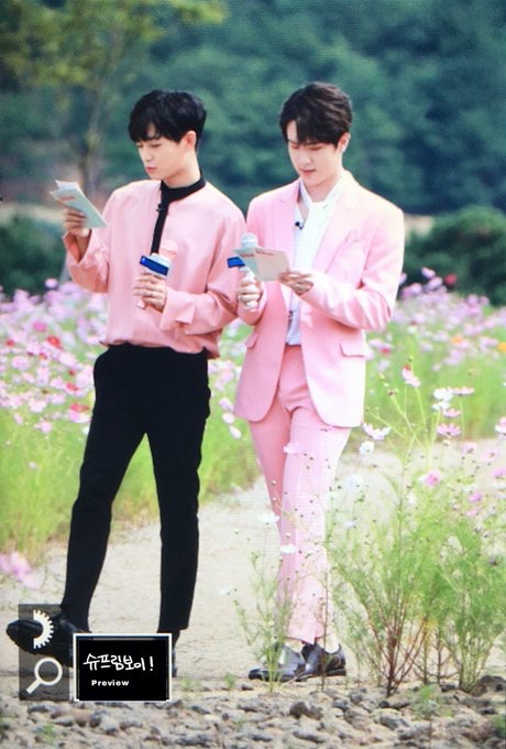 미쳤다 진짜ㅠㅠㅠㅠㅠㅠ 꽃이야라니 얘들아 젭제들아ㅠㅠㅠㅠ | 인스티즈