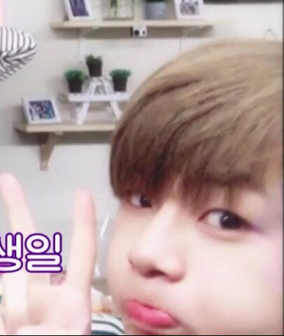 ㄱ 아니 나만 이런거 좋아하냐고 녤윙인데 윙은 세서0위 녤은 걍 겸둥이 | 인스티즈