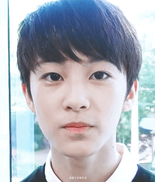 진짜 지친다 애들 짤이나 털래 | 인스티즈