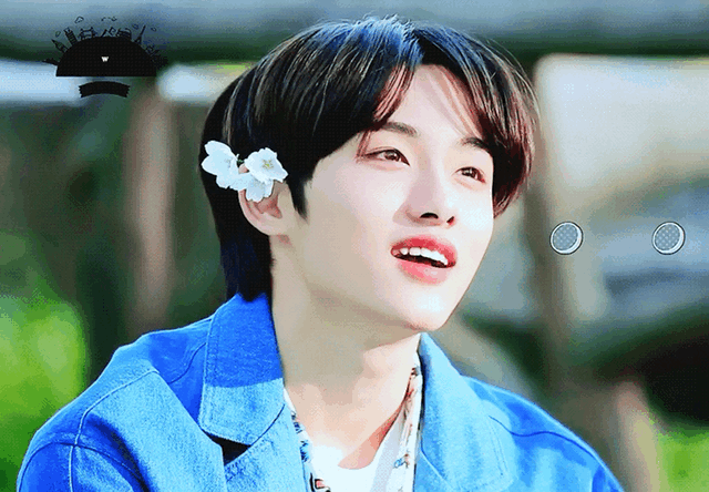 진짜 지친다 애들 짤이나 털래 | 인스티즈