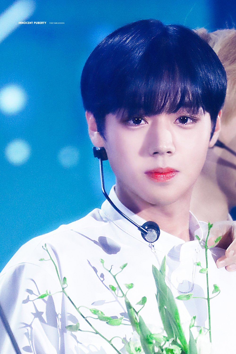 개인적으로 얼굴만 봤을 때 천년돌 칸나 하면 한국에서는 박지훈 생각 남 ㅋㅋㅋㅋ | 인스티즈