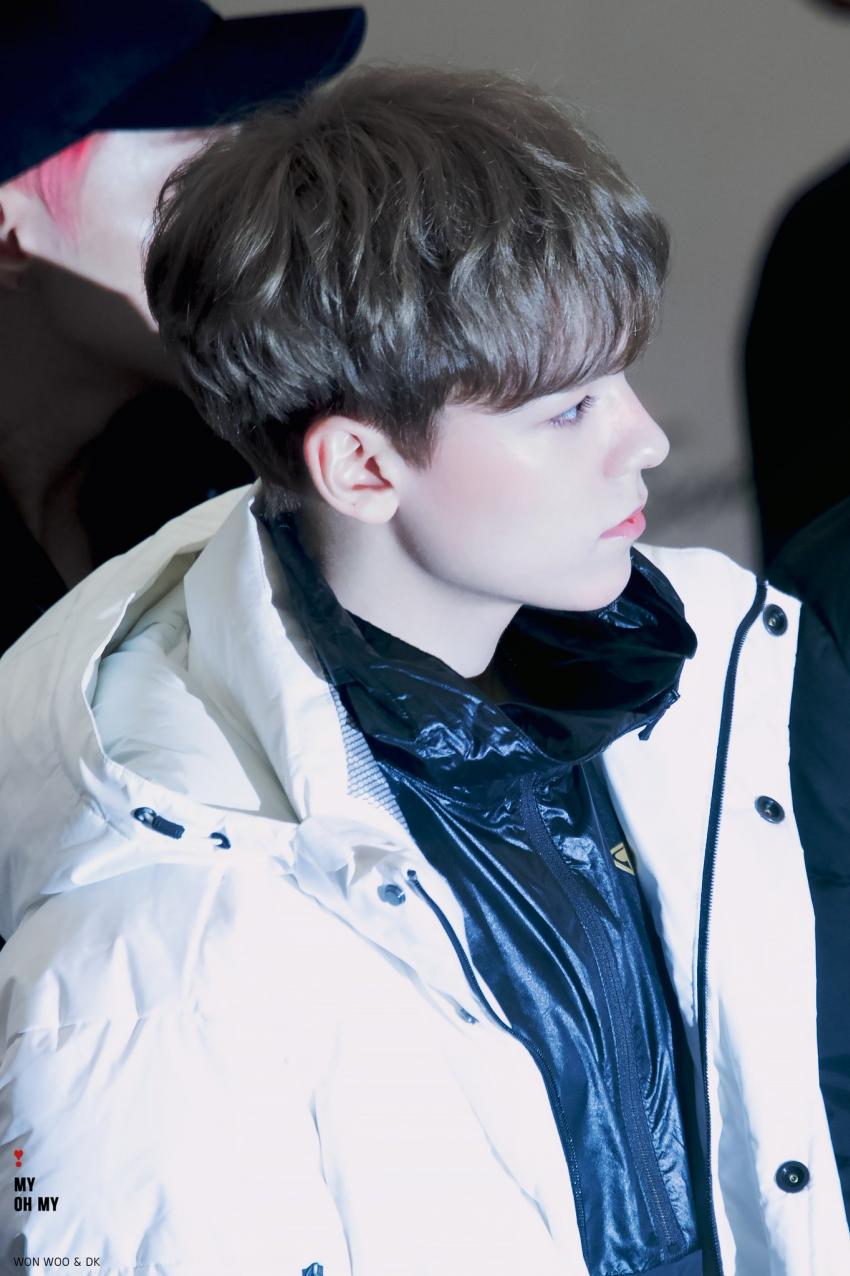 버논교를 만들어 주세요 | 인스티즈