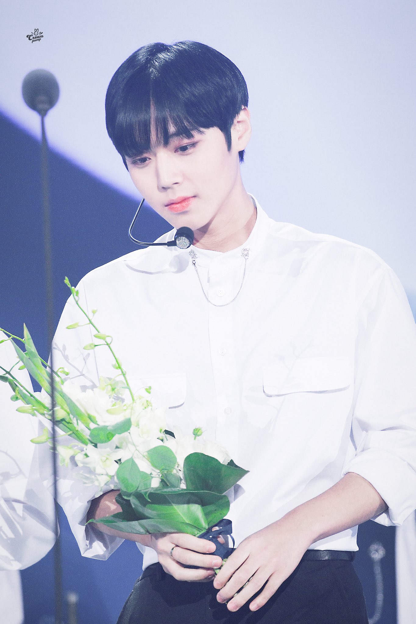 한국에서 아름다운 남자는 희귀하고 고전은 영원하다. 정석 미인이자 클래식 아이돌인 박지훈은 지금도, 앞으로도 우리에게 꼭 필요한 존재다 | 인스티즈