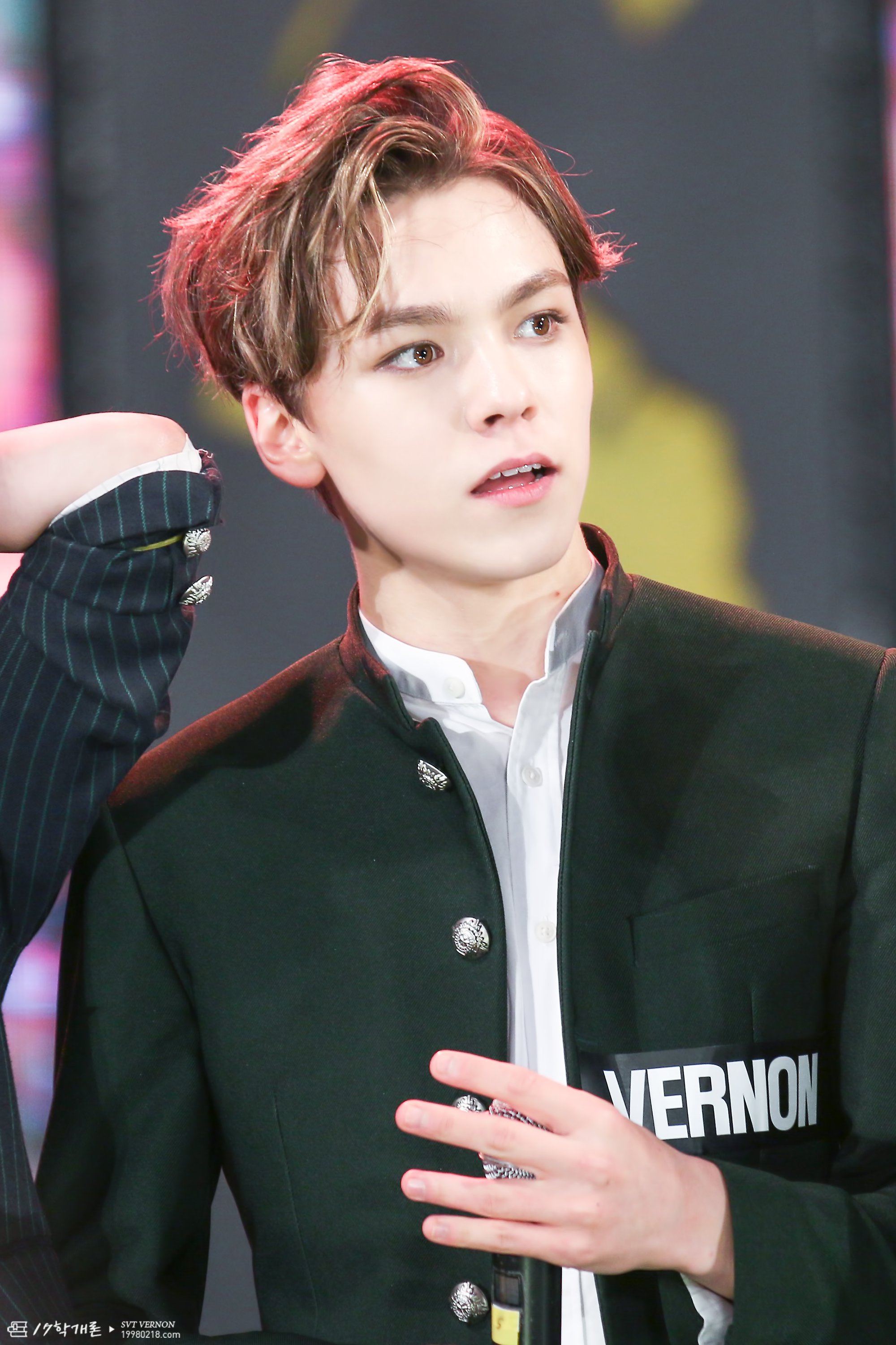 버논교를 만들어 주세요 | 인스티즈