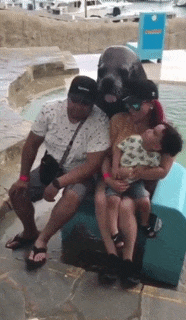 표정 좀 연습한 물댕댕이.gif | 인스티즈