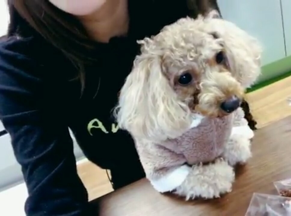청하 🐶무시당함 | 인스티즈