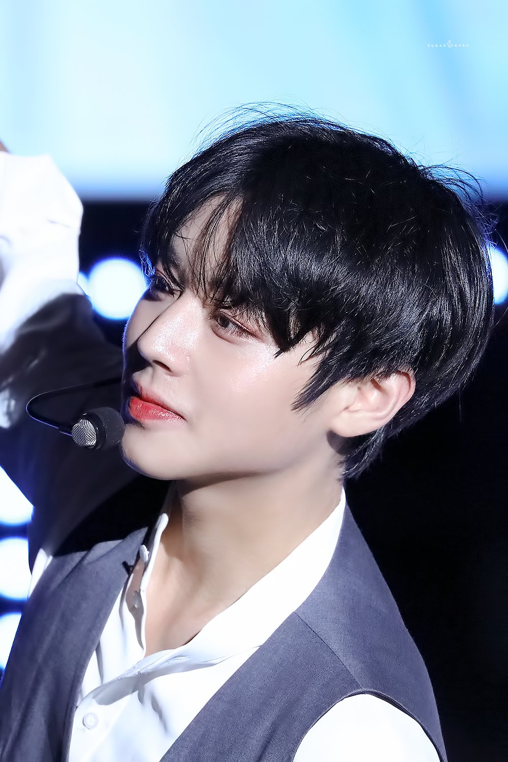 박지훈 사랑행 💖💖💖💖 | 인스티즈