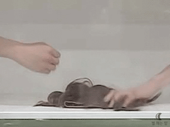 ㄱ 넨년의 역사 | 인스티즈