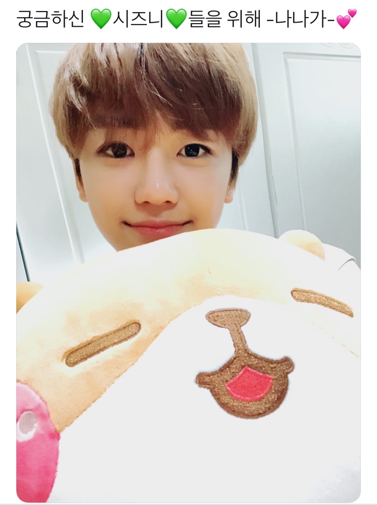 내가 보고 싶어서 모아본 나나의 시즈니 사랑 🌱💚 | 인스티즈