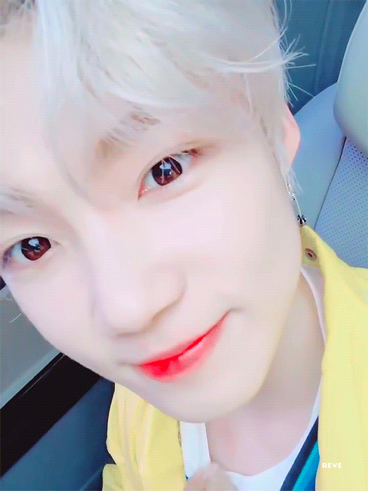 난 진짜 모든 아이돌들 좋아해 나같은 사람 또 있니 | 인스티즈