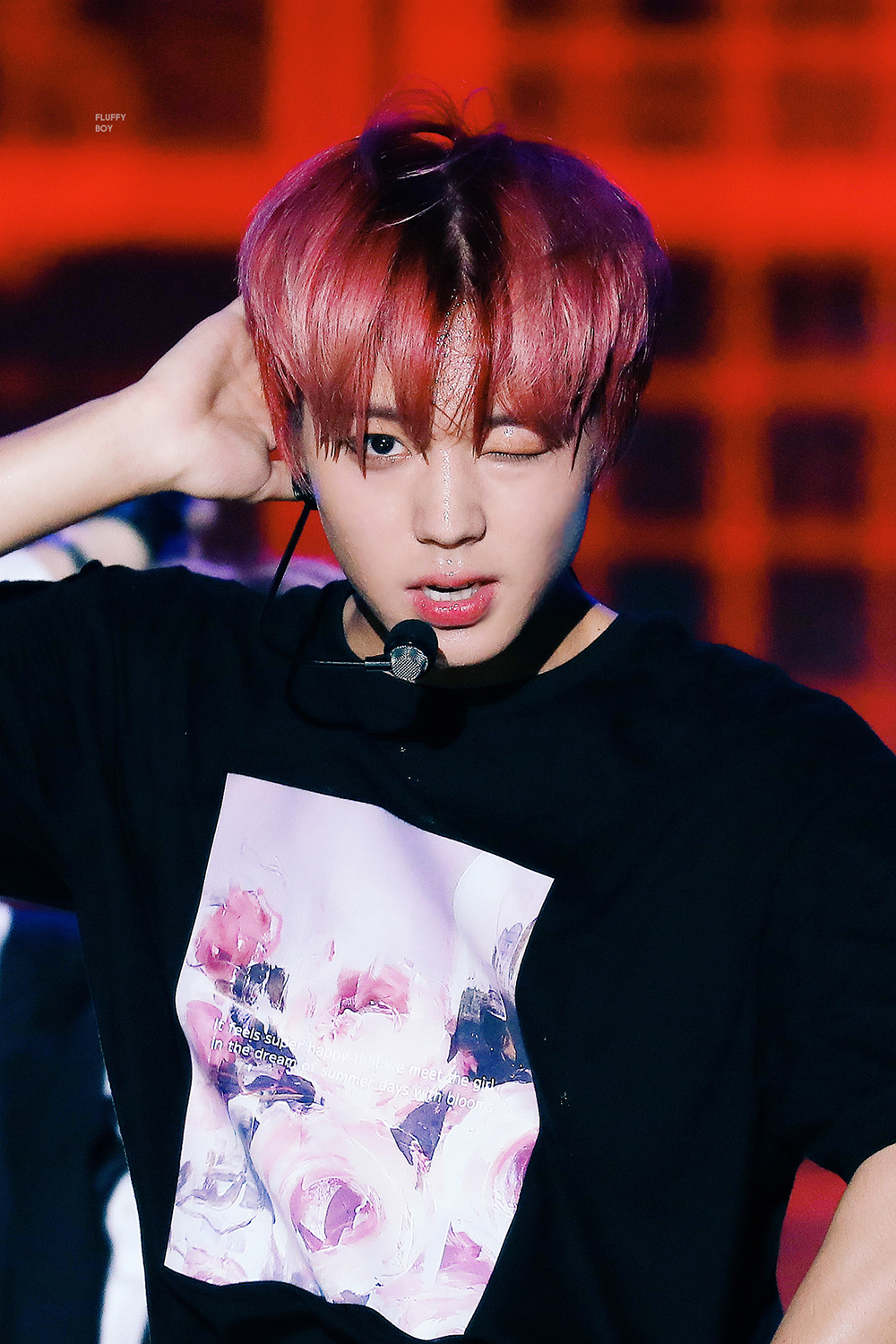 응 박지훈 완젼 잘나감 ㅠㅠ애기 행복하자 | 인스티즈