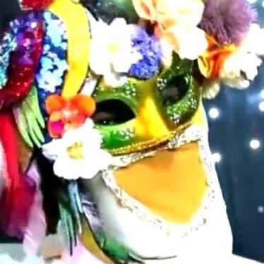 어떡해 제니 복면가왕 나오나봐 | 인스티즈