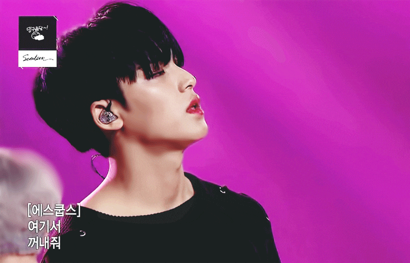 띠용 세븐틴팬분들은 알려주세요 | 인스티즈