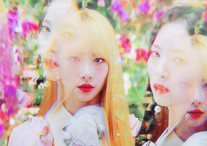 저희 설아언니 한번 보고가시렵니까?.. | 인스티즈