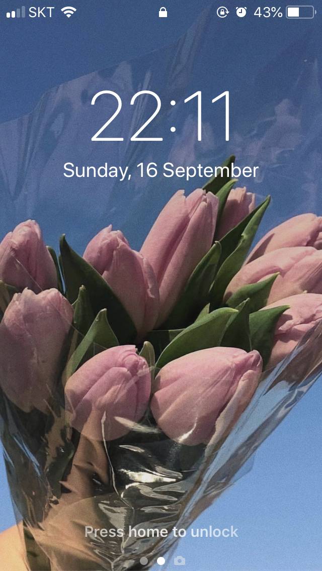 내 잠금화면 최고로 예쁘다 | 인스티즈