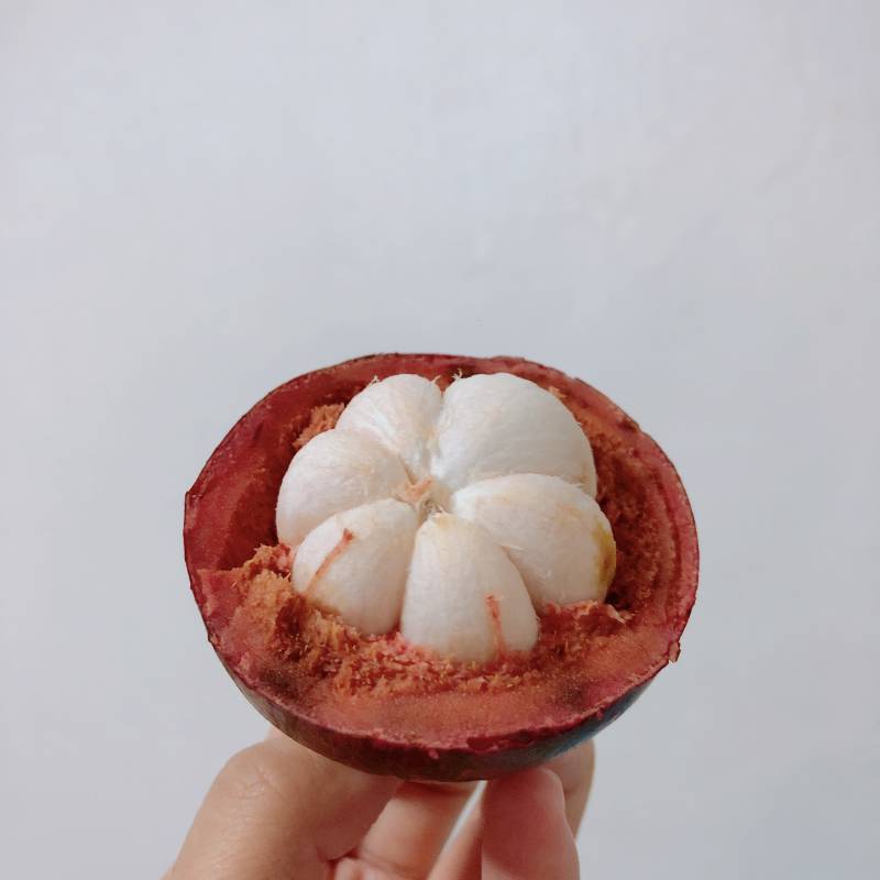 이거 봐주라 | 인스티즈