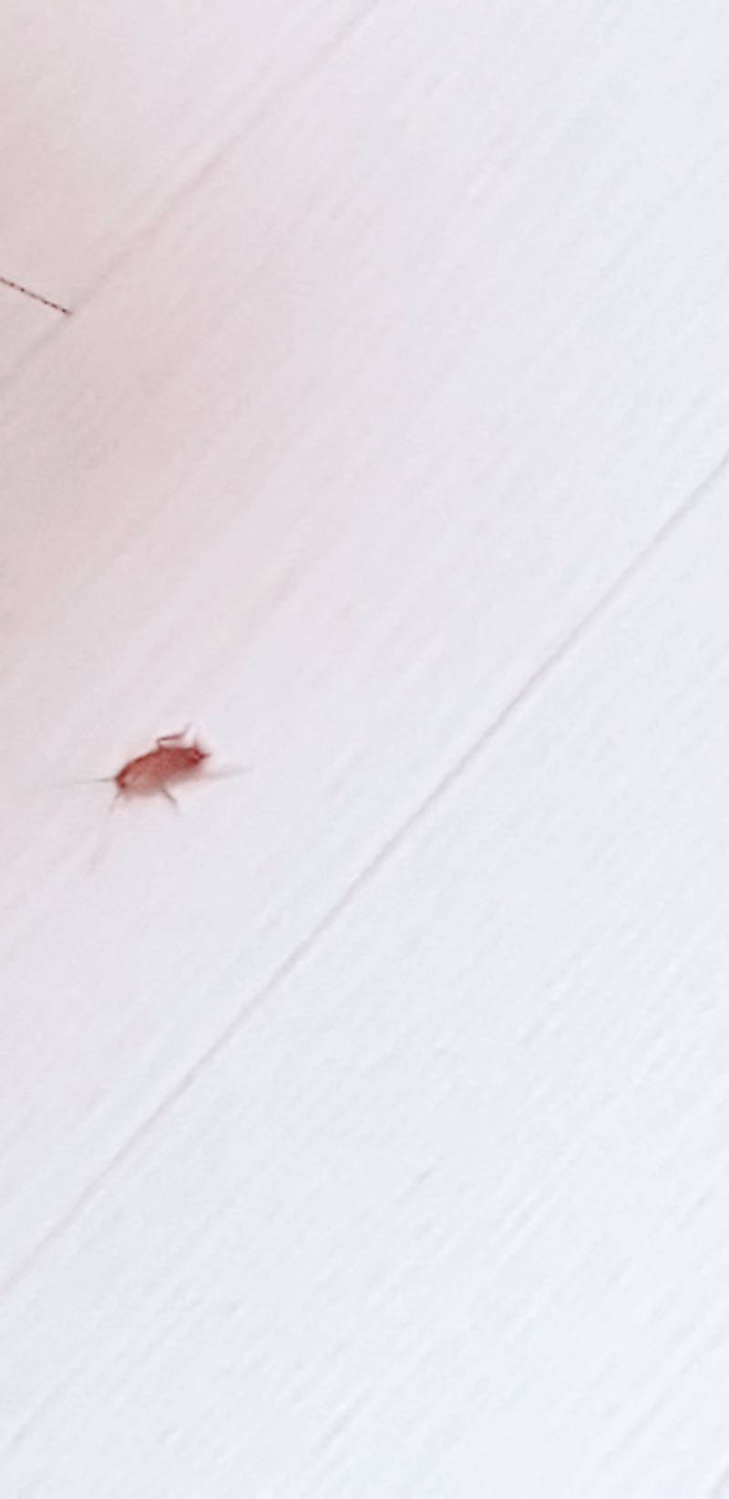 이거 바선생 같아..?(사진주의) | 인스티즈