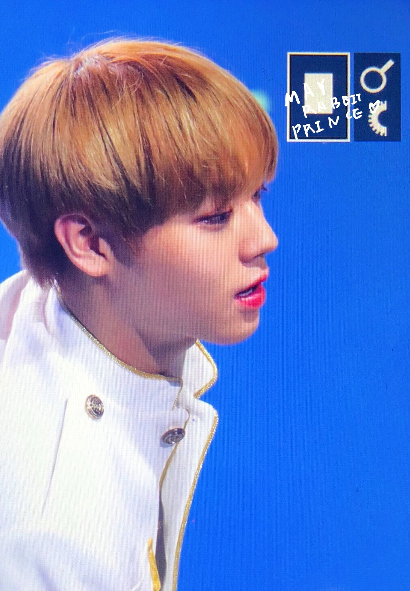 박지훈 코 홍보사절단 | 인스티즈