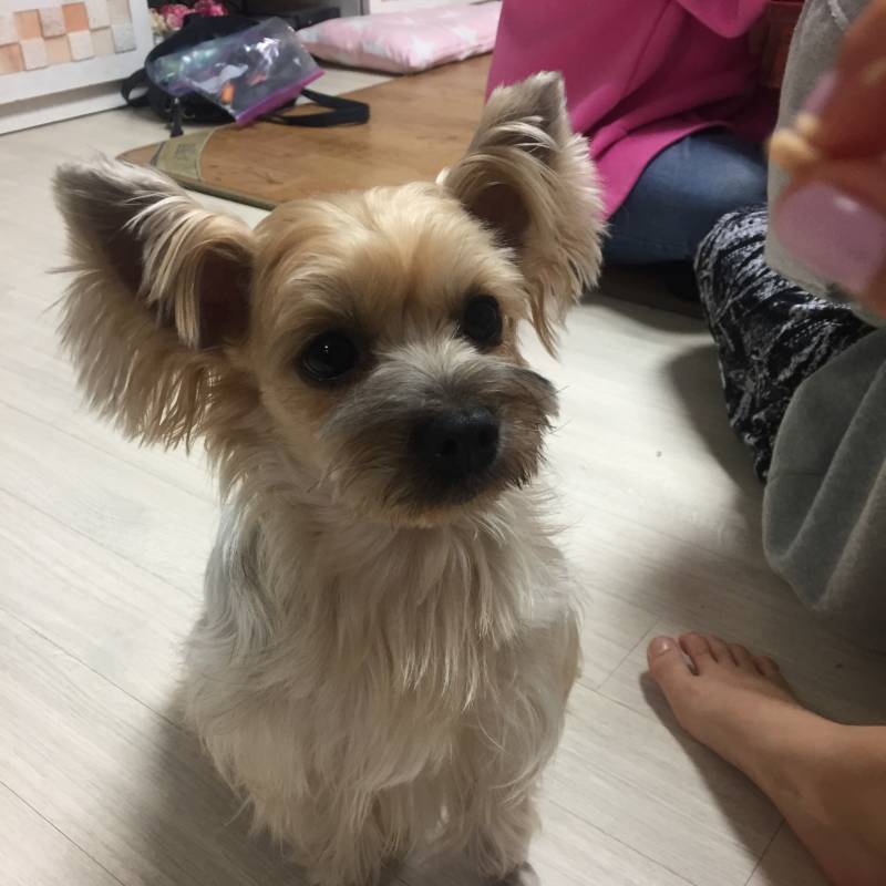 아는 이모 집 갱쥔데 너무 예쁘지 봐줘 | 인스티즈