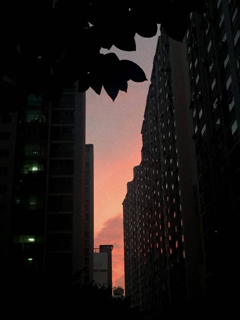 사진 진짜 잘찍었징!!! 뿌듯 | 인스티즈