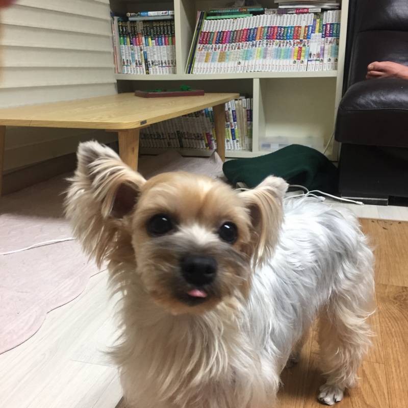 아는 이모 집 갱쥔데 너무 예쁘지 봐줘 | 인스티즈