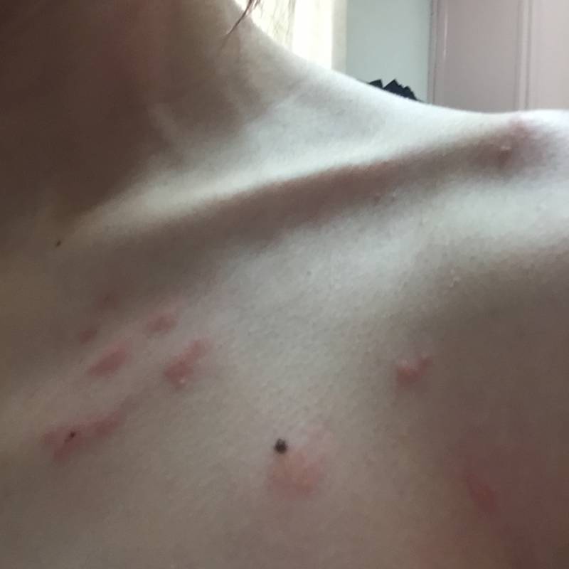 애들아 이게 뭘까 ㅜㅜㅜ (혐오주의) | 인스티즈